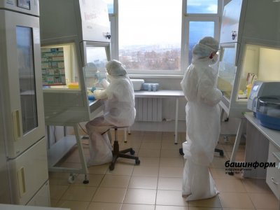 В Башкирии ковидом официально болеют 393 человека