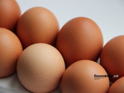 Путин пообещал исправить ситуацию с ростом цен на яйца