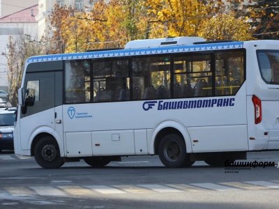 В Башкирии из-за бездорожья отменили три автобуса