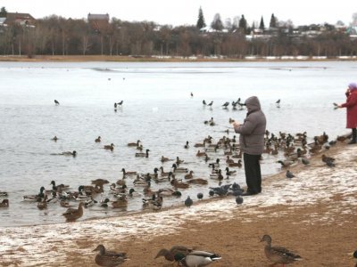 В Уфе спасатели предотвратили трагедию на тонком льду