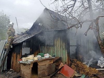 В МЧС по Башкирии прокомментировали инцидент с пожаром, в котором погибли собаки