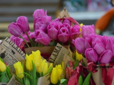 В Уфе у бизнесмена похитили цветочный павильон: обвиняемому в краже вынесли приговор