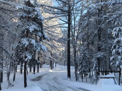 В Башкирии потеплеет до +1 и выпадет снег