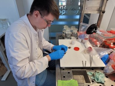 В межвузовском кампусе Уфы начались испытания биочернил для 3D-печати органов