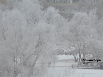 МЧС по Башкирии предупреждает о гололеде и ухудшении видимости из-за снега