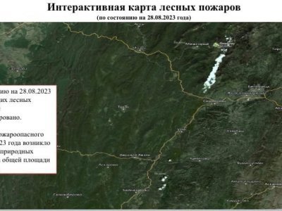 В Башкирии за истекшие сутки не произошло ни одного лесного пожара