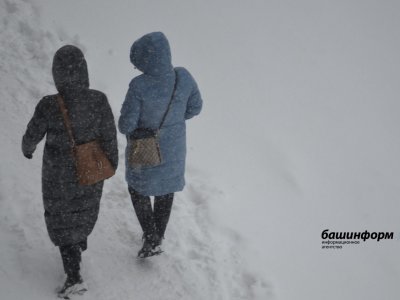 Метель, сильный ветер, гололед: МЧС по Башкирии предупреждает об ухудшении погодных условий