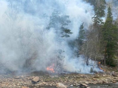 В двух районах Башкирии горит лес