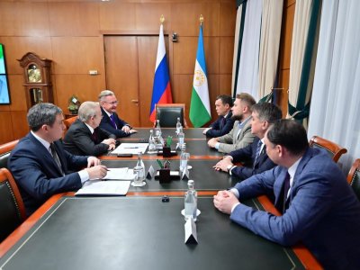 Андрей Назаров обсудил научные проекты Башкирии с вице-спикером Госдумы Борисом Чернышовым