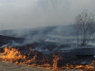 За сутки в Башкирии произошло более 60 пожаров