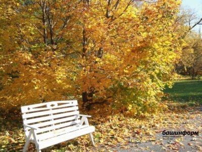 В Башкирию возвращается тепло