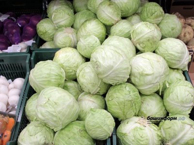 В Башкирии снизились цены на ряд повседневных продуктов питания