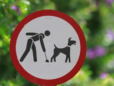 В Уфе определены официальные площадки для выгула собак
