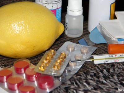 В Башкирии за неделю выявили 86 новых случаев гриппа