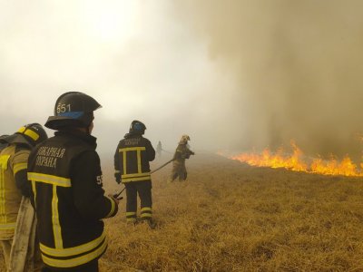 Спасатели Башкирии остановили в Курганской области огненный фронт в 3,5 км