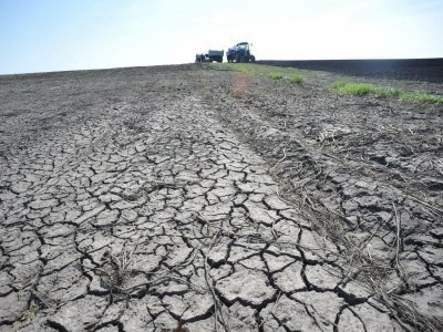 В Башкирии ввели режим чрезвычайной ситуации из-за засухи