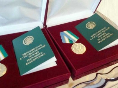 В Башкирии вручат медаль «Родительская доблесть»