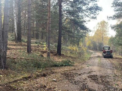 Дортрансстрой начал строительство автодороги к мемориальному парку на родине Салавата Юлаева